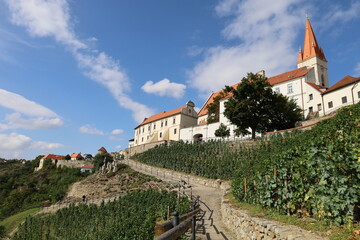 チェコ　ズノイモ　ぶどう畑　