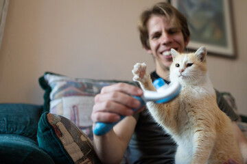 young adult man grooming a playful yellow cat with a brush, pet owner brushing a cute kitten in the...