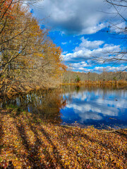 Plainsboro Preserve in Cranbury NJ 001
