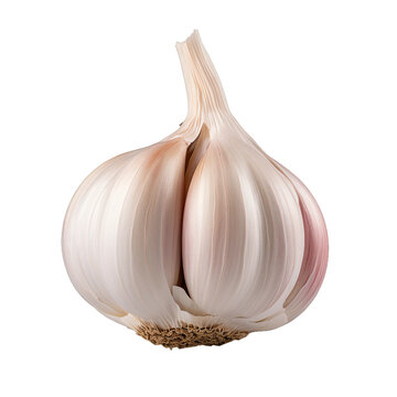 Garlic, transparent background, isolated image, generative AI