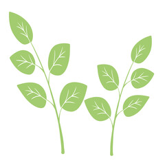 Small plants Illustration