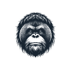 Hand drawn of orangutan. Vector illustration.