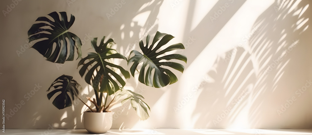Aufkleber premium podium on pastel background for product display, abstract geometric composition with branch 