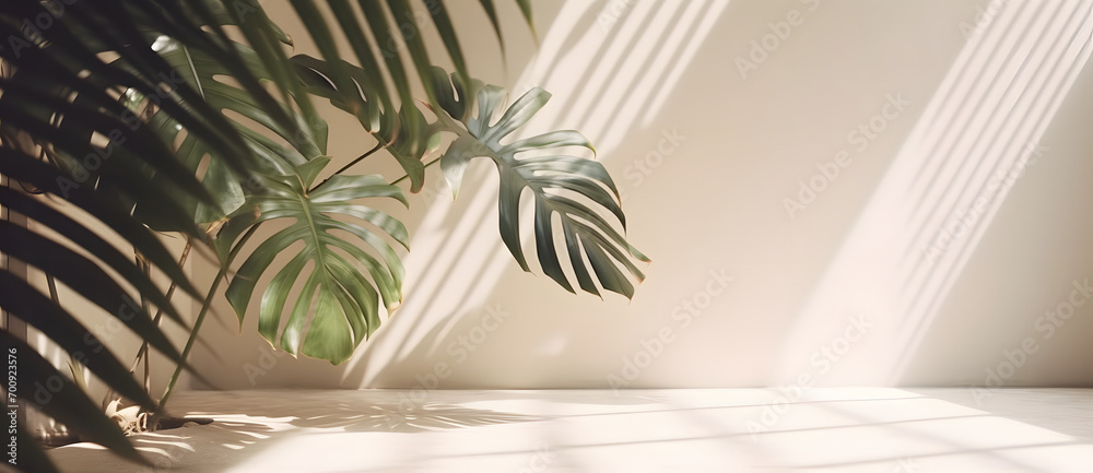 Aufkleber premium podium on pastel background for product display, abstract geometric composition with branch 