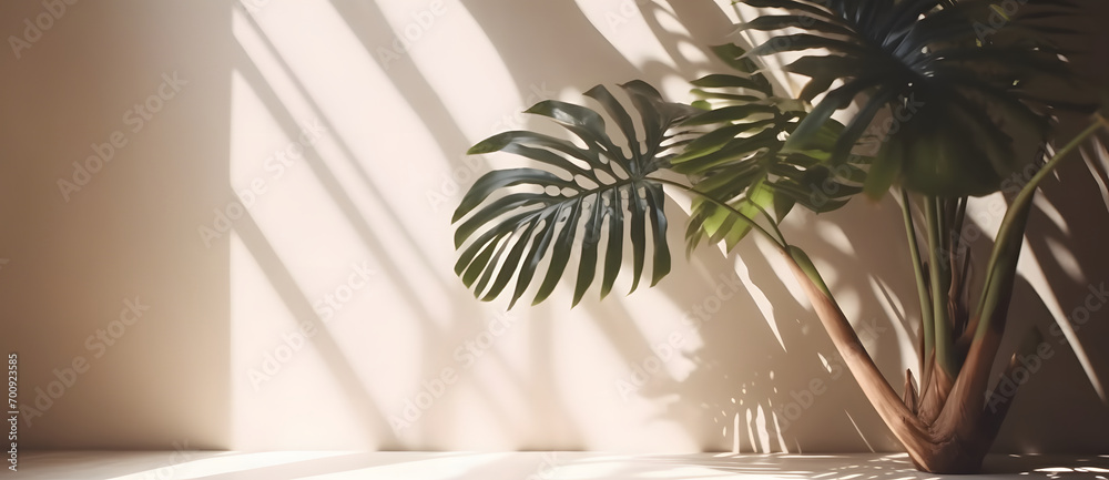 Aufkleber premium podium on pastel background for product display, abstract geometric composition with branch 