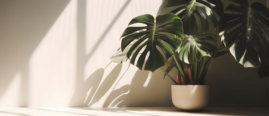 Monstera leaf on beige pastel wall with window light shadows, 3d rendering cosmetic product display mockup