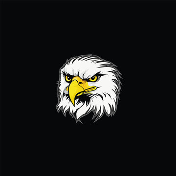bald eagle head vector illustration