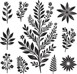 Botanical Silhouette Illustrations