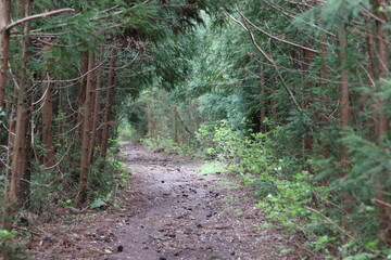 A collection of landscape photos from Jeju Island, South Korea