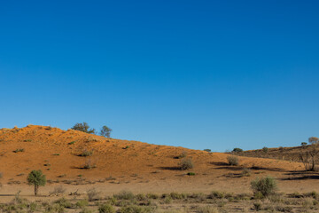 Fototapeta na wymiar Arid Kalahari Landscape with dunes and clouds, near Gharagab in the Kgalagadi Transfrontier Park