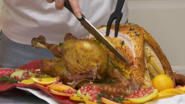 woman carving roasted stuffed turkey and slicing cuts of turkey, preparing thanksgiving or christmas holiday dinner