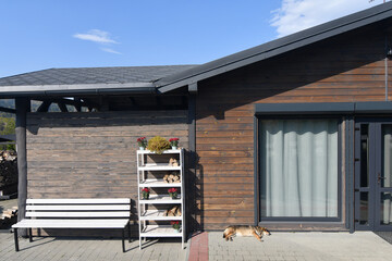 Dog resting under the wall of wooden cottage house. 