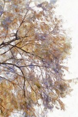 A large tree with bushy leaves and branches Illustrations in chalk crayon colored pencils impressionist style paintings.