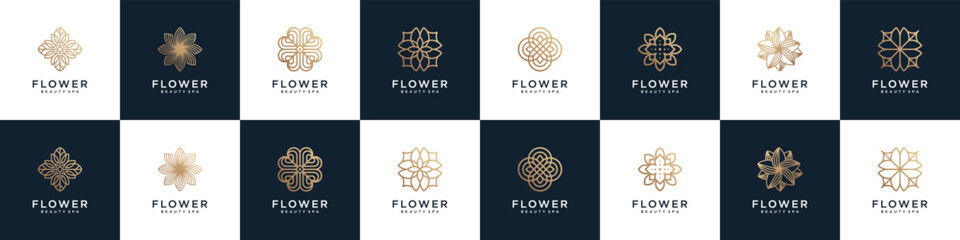Abstract Floral Ornament logo design collection. icons feminine for beauty nature, health care, salon, and spa. - obrazy, fototapety, plakaty