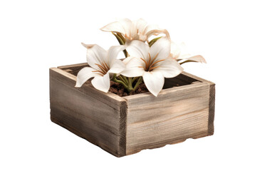 A Glimpse into the Artistic Brilliance of a Rustic Wooden Crate with a Single Flower on White or PNG Transparent Background.