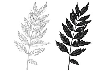 A black and white drawing of a plant. Suitable for various design projects