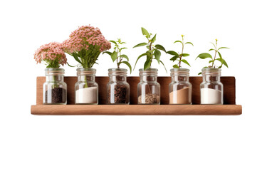 Capturing the Essence of Wall-Mounted Spice Rack on a White or Clear Surface PNG Transparent Background.