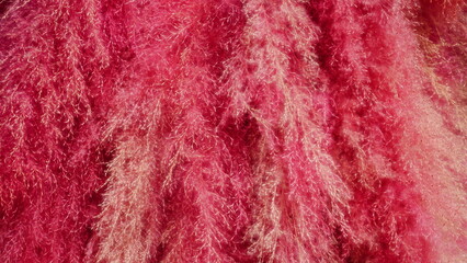 The background is made from colorfully dyed grass flowers.