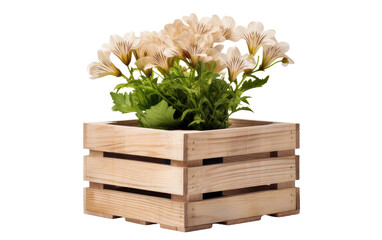 An Insight into the Wooden Crate Bookshelf with Single Flower on a White or Clear Surface PNG Transparent Background.