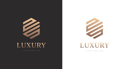 Alphabet ZS luxury initial letters and hexagon brand monogram logo template. vector ilustration