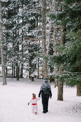 Fototapeta na wymiar Mother and a little girl walk holding hands through the snowdrifts in a snowy pine forest. Back view