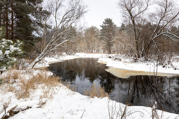 Obraz premium A river flows in the winter forest with the dark reflection of the trees