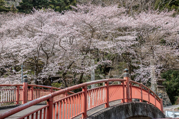 bridge in winter
