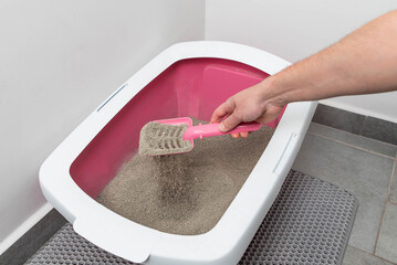Feline Care Routine: cat owner hand cleaning a cat kitty litter box by scooping litter clumps.
