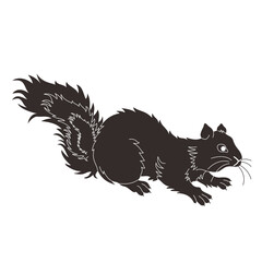 squirrel silhouette vector style with transparent background	