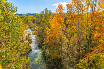 Colorful leaves on the Vero river in the town of Pozan de Vero in the Pyrenees, Huesca