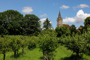 Fototapeta na wymiar Orchard and church in Cergy, France