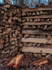 Forst, Waldnutzung, Kaminholz, nach starken Regenfällen