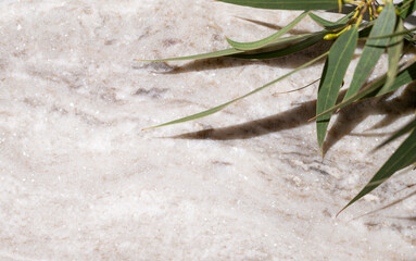 Empty marble board or tray with shadows and green leaves on a light texture  background close up.