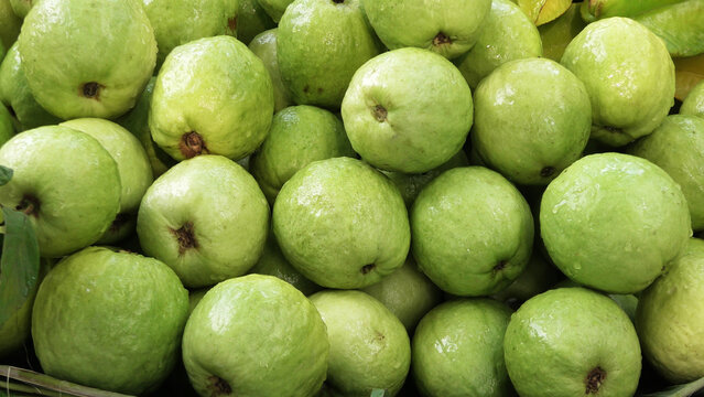 Stacked guava fruits displayed for sale