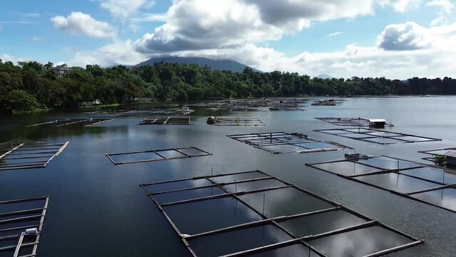 Bamboo tied together used to build an industry of floating fish cages on a mountain lake. A backrward tracking drone capture aerial shots.