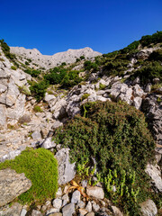 Trail to Mount Zas or Zeus, Naxos Island, Cyclades, Greece