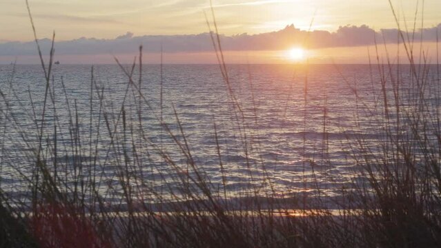 Ocean beach seascape panorama at sunset behind a bush. 4k, h265, 30 fps, 4.2:2 10 bit (BT709).