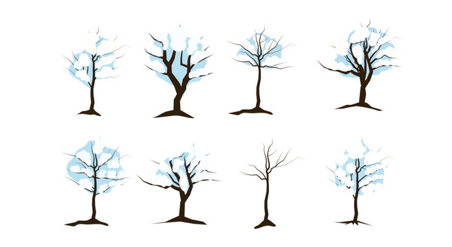 Winter Trees Transparent 
