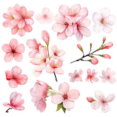 Vector collection of cherry blossoms