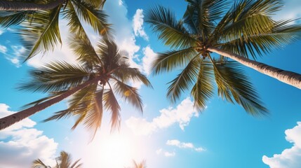 Fototapeta na wymiar Blue sky and palm trees view from below, tropical beach 