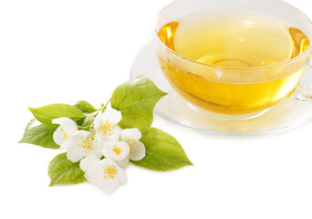 Cup of the jasmin tea isolated