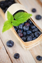 Delicious fresh blueberry in the basket