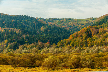 Obraz premium Autumn forest, Beskid Sądecki, Lesser Poland, EU, Jesienny las, Beskid Sądecki, Małopolska, EU