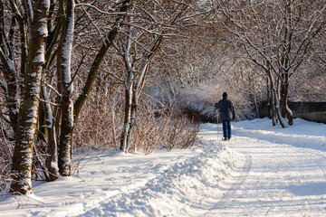 Active recreation in the city. Cross-country skiing. Man cross-country skiing in the park. View from the back