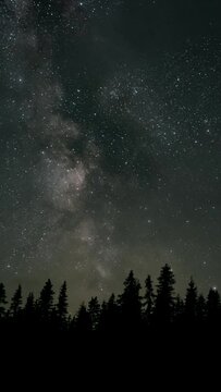 Time lapse of The Milky Way galaxy moves above the silhouettes of trees