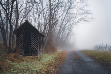 Fototapeta na wymiar wooden house in the misty morning