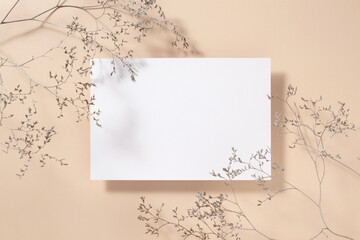 Empty white square poster or card mockup with dried grass decoration on beige background.