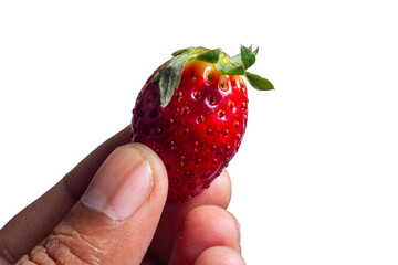 Red berry strawberry in hand isolated on white background