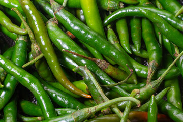 Close up top view of freshly harvested green chillies