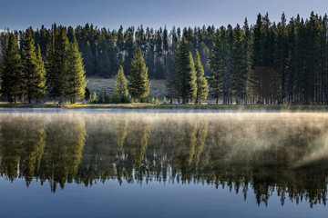 Trees on the shore of the steaming Lake Yellowstone in the Yellowstone National Park, Wyoming USA - 701016589